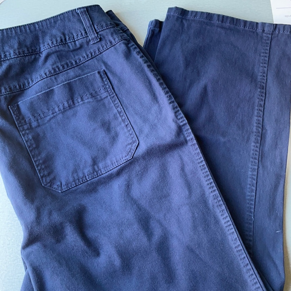 Lane Bryant Pants